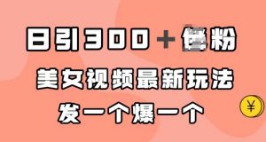 日引300+男粉,美女视频最新玩法,发一个爆一个【揭秘】-阳知网创资源库