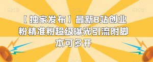 【独家发布】最新B站创业粉精准粉超级曝光引流附脚本可多开【揭秘】-阳知网创资源库