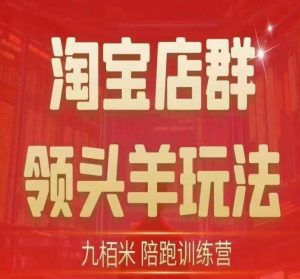 九栢米-淘宝店群领头羊玩法，教你整个淘宝店群领头羊玩法以及精细化/终极蓝海/尾销等内容-阳知网创资源库