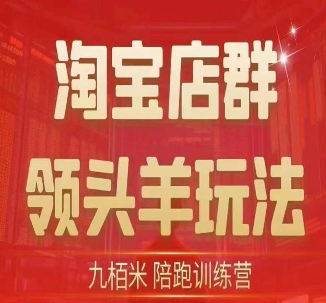 九栢米-淘宝店群领头羊玩法,教你整个淘宝店群领头羊玩法以及精细化/终极蓝海/尾销等内容-阳知网创资源库