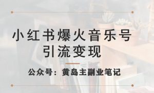 小红书爆火音乐号引流变现项目，视频版一条龙实操玩法分享给你-阳知网创资源库