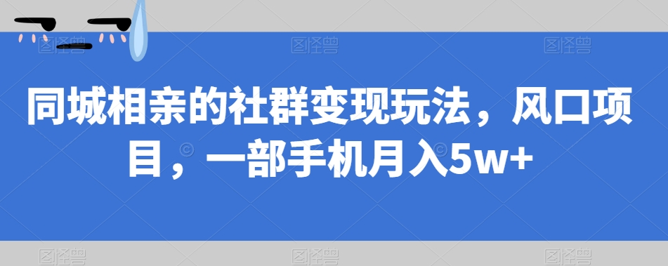 同城相亲的社群变现玩法，风口项目，一部手机月入5w+【揭秘】-阳知网创资源库