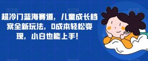 超冷门蓝海赛道,儿童成长档案全新玩法,0成本轻松变现,小白也能上手【揭秘】-阳知网创资源库