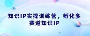 知识IP实操训练营，​孵化多赛道知识IP-阳知网创资源库