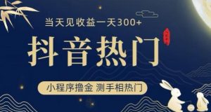 抖音最新小程序撸金，测手相上热门，当天见收益一小时变现300+【揭秘】-阳知网创资源库