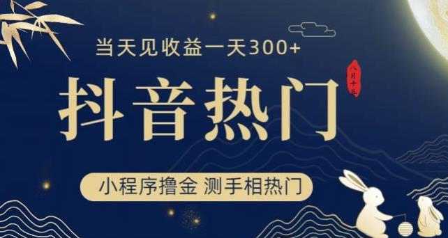 抖音最新小程序撸金，测手相上热门，当天见收益一小时变现300+【揭秘】-阳知网创资源库