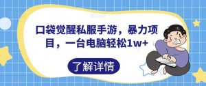 口袋觉醒私服手游，暴力项目，一台电脑轻松1w+【揭秘】-阳知网创资源库