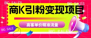 商K引粉变现项目,高客单价精准流量【揭秘】-阳知网创资源库