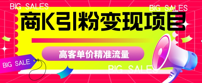商K引粉变现项目,高客单价精准流量【揭秘】-阳知网创资源库