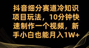 抖音细分赛道冷知识项目玩法，10分钟快速制作一个视频，新手小白也能月入1W+【揭秘】-阳知网创资源库