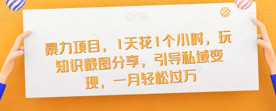 暴力项目，1天花1个小时，玩知识截图分享，引导私域变现，一月轻松过万【截图】-阳知网创资源库