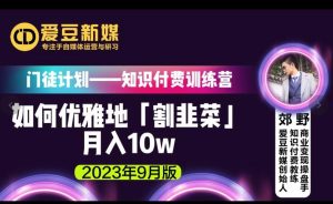 爱豆新媒:如何优雅地「割韭菜」月入10w的秘诀(2023年9月版)-阳知网创资源库