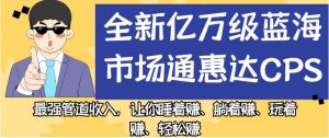 全新亿万级蓝海市场通惠达cps,最强管道收入,让你睡着赚、躺着赚、玩着赚、轻松赚【揭秘】-阳知网创资源库