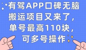 有驾APP口碑无脑搬运项目又来了，单号最高110块，可多号操作-阳知网创资源库