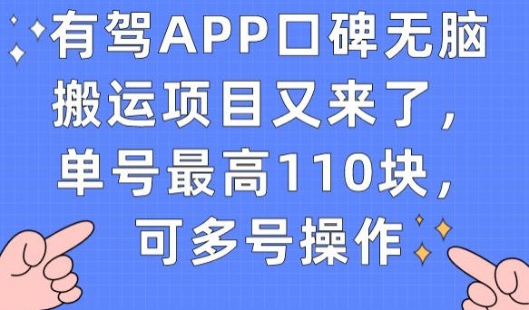 有驾APP口碑无脑搬运项目又来了，单号最高110块，可多号操作-阳知网创资源库
