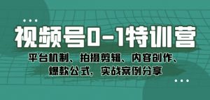 视频号0-1特训营：平台机制、拍摄剪辑、内容创作、爆款公式，实战案例分享-阳知网创资源库