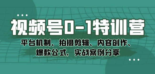 视频号0-1特训营：平台机制、拍摄剪辑、内容创作、爆款公式，实战案例分享-阳知网创资源库