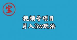 宝哥视频号无货源带货视频月入3w,详细复盘拆解-阳知网创资源库