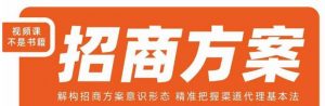 王昕招商方案,解构招商方案意识形态,精准把握渠道代理基本法-阳知网创资源库