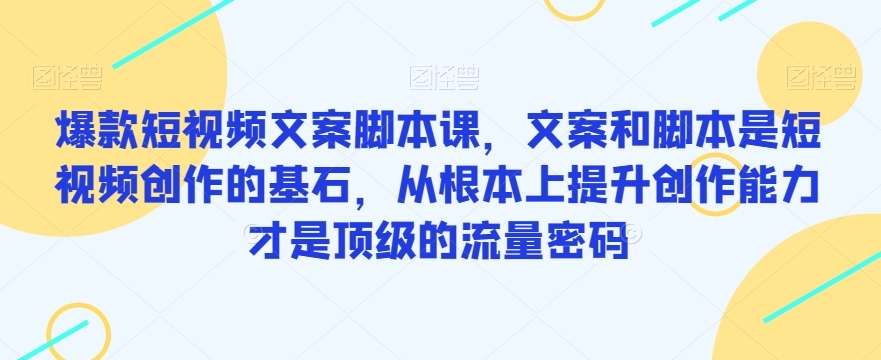 爆款短视频文案脚本课,文案和脚本是短视频创作的基石,从根本上提升创作能力才是顶级的流量密码-阳知网创资源库