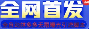 【首发】拆解拼多多如何日引100+精准粉（附脚本+视频教程）【揭秘】-阳知网创资源库