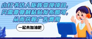 小红书达人矩阵变现项目,只需要复制粘贴发布即可,从而获取广告费用-阳知网创资源库