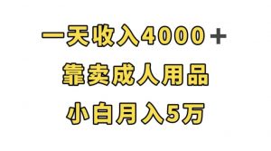 一天收入4000+,靠卖成人用品,小白轻松月入5万【揭秘】-阳知网创资源库