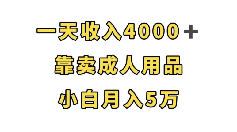 一天收入4000+，靠卖成人用品，小白轻松月入5万【揭秘】-阳知网创资源库