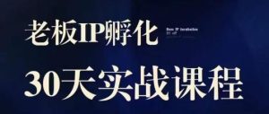 诸葛·2023老板IP实战课，实体同城引流获客，IP孵化必听-阳知网创资源库