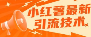 小红书最新引流技术，真正实现解放双手暴力引流-阳知网创资源库