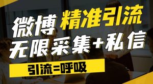 微博最新引流技术，软件提供博文评论采集+私信实现精准引流【揭秘】-阳知网创资源库