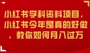 小红书学科资料项目,小红书今年是真的好做,教你如何月入过万【揭秘】-阳知网创资源库