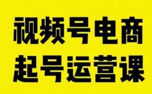 视频号电商起号运营课,教新人如何自然流起号,助力商家0-1突破-阳知网创资源库