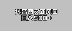 抖音图文最新风口，流量扶持非常高，日入500+【揭秘】-阳知网创资源库