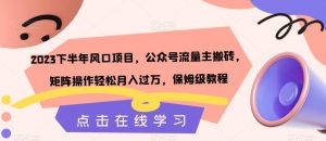 2023下半年风口项目,公众号流量主搬砖,矩阵操作轻松月入过万,保姆级教程-阳知网创资源库