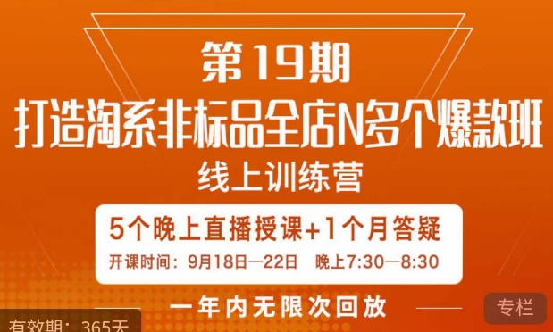 打造淘系非标全店N多个爆款线上课,5天直播课-阳知网创资源库
