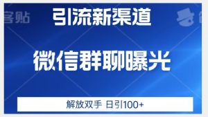 价值2980的全新微信引流技术,只有你想不到,没有做不到【揭秘】-阳知网创资源库