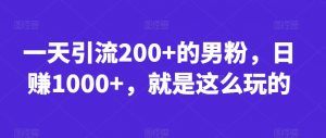 一天引流200+的男粉,日赚1000+,就是这么玩的【揭秘】-阳知网创资源库