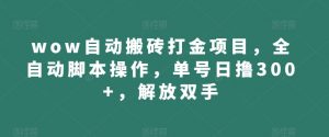 wow自动搬砖打金项目,全自动脚本操作,单号日撸300+,解放双手【揭秘】-阳知网创资源库