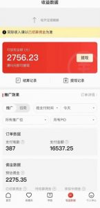 拼多多无人直播不封号玩法,0投入,3天必起,日入1000+-阳知网创资源库