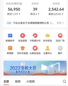 全新蓝海,西瓜视频流量掘金项目,简单上手适合0基础小白,暴力玩法日入500+【揭秘】-阳知网创资源库