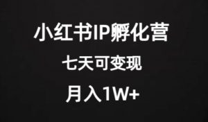 价值2000+的小红书IP孵化营项目,超级大蓝海,七天即可开始变现,稳定月入1W+-阳知网创资源库