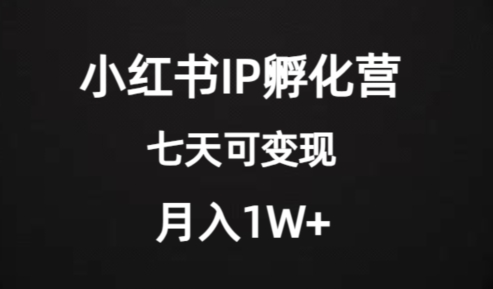 价值2000+的小红书IP孵化营项目，超级大蓝海，七天即可开始变现，稳定月入1W+-阳知网创资源库