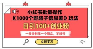 小红书批量操作《1000个野路子信息差》玩法,一分钟制作一个图文,不封号,日引100+创业粉-阳知网创资源库