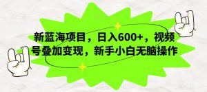 新蓝海项目,日入600+,视频号叠加变现,新手小白无脑操作【揭秘】-阳知网创资源库