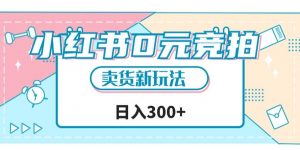小红书0元竞拍，文玩卖货新玩法，一天轻松300+【揭秘】-阳知网创资源库
