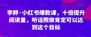 李鲆·小红书爆款课，十倍提升阅读量，听话照做肯定可以达到这个目标-阳知网创资源库