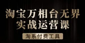 沧海·淘系万相台无界实战运营课,万相台无界实操全案例解析-阳知网创资源库