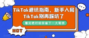 TikTok避坑指南,新手入局TikTok别再踩坑了-阳知网创资源库
