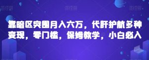 靠暗区突围月入六万,代肝护航多种变现,零门槛,保姆教学,小白必入【揭秘】-阳知网创资源库